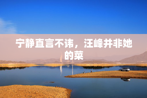宁静直言不讳，汪峰并非她的菜