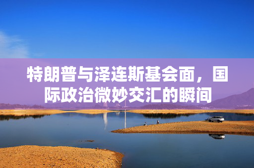 特朗普与泽连斯基会面，国际政治微妙交汇的瞬间