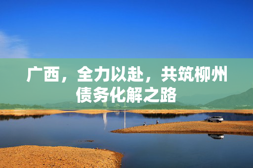 广西，全力以赴，共筑柳州债务化解之路