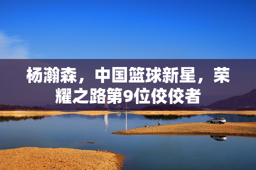 杨瀚森，中国篮球新星，荣耀之路第9位佼佼者