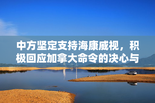中方坚定支持海康威视，积极回应加拿大命令的决心与行动