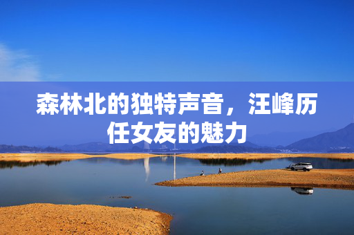 森林北的独特声音，汪峰历任女友的魅力