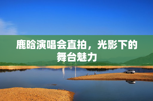 鹿晗演唱会直拍，光影下的舞台魅力