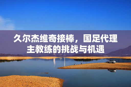 久尔杰维奇接棒，国足代理主教练的挑战与机遇