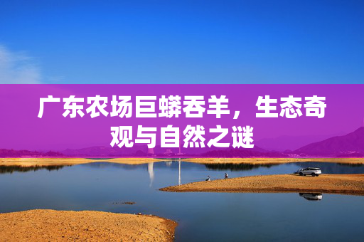 广东农场巨蟒吞羊，生态奇观与自然之谜