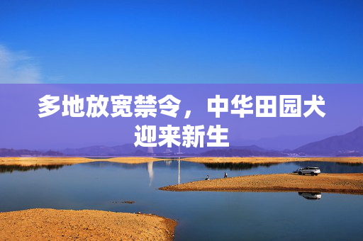 多地放宽禁令，中华田园犬迎来新生