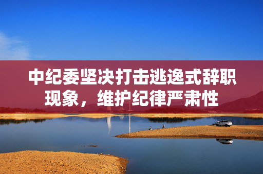 中纪委坚决打击逃逸式辞职现象，维护纪律严肃性