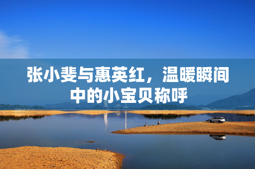 张小斐与惠英红，温暖瞬间中的小宝贝称呼
