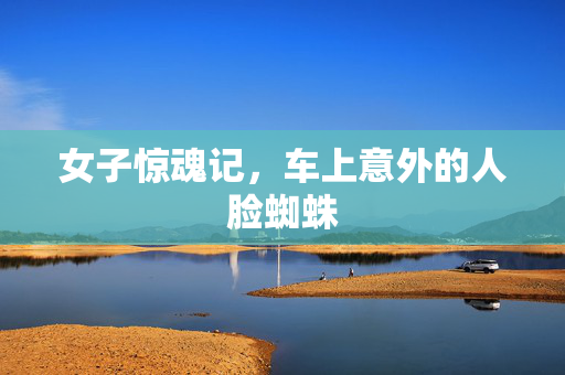 女子惊魂记，车上意外的人脸蜘蛛