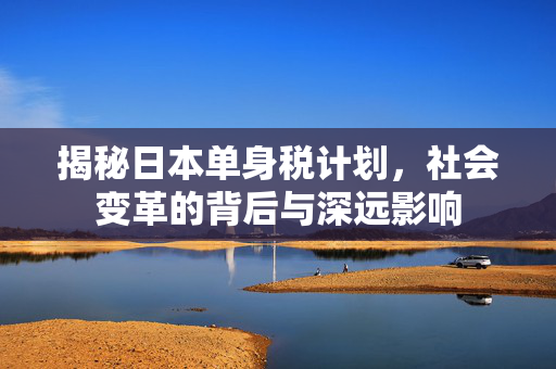 揭秘日本单身税计划，社会变革的背后与深远影响