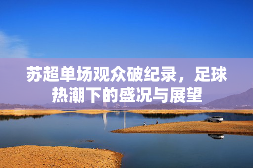 苏超单场观众破纪录，足球热潮下的盛况与展望