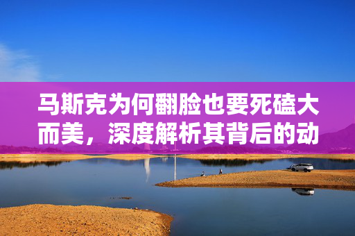 马斯克为何翻脸也要死磕大而美，深度解析其背后的动机与战略考量