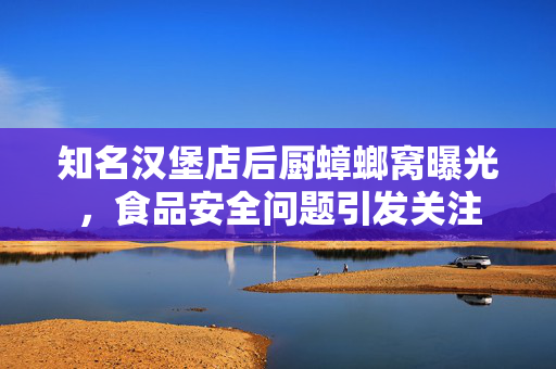 知名汉堡店后厨蟑螂窝曝光，食品安全问题引发关注