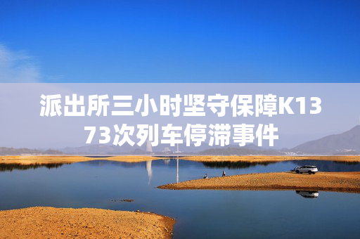 派出所三小时坚守保障K1373次列车停滞事件