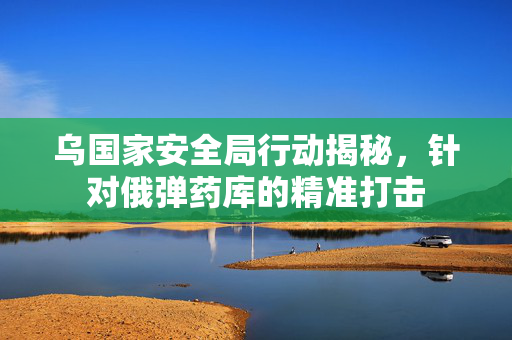乌国家安全局行动揭秘，针对俄弹药库的精准打击