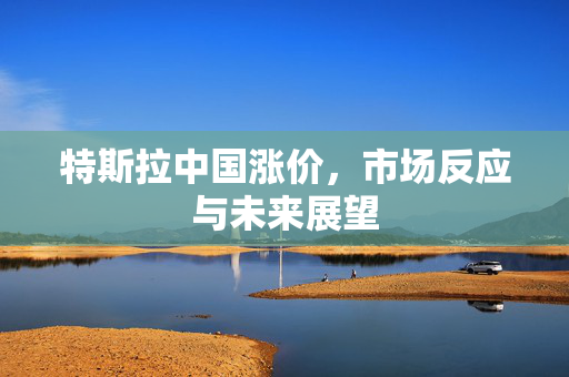 特斯拉中国涨价，市场反应与未来展望