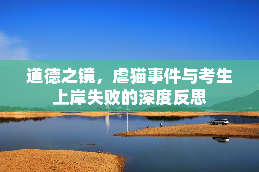 道德之镜，虐猫事件与考生上岸失败的深度反思