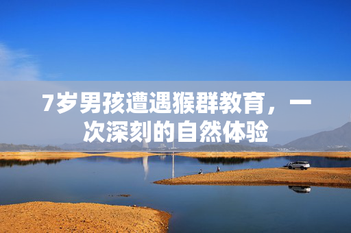 7岁男孩遭遇猴群教育，一次深刻的自然体验
