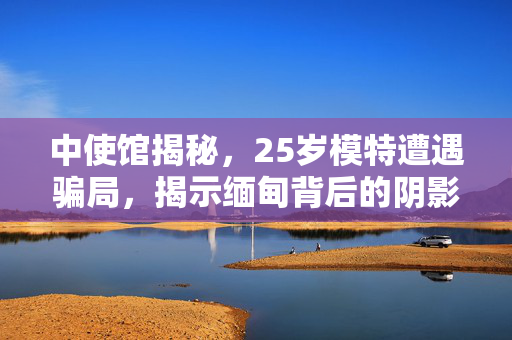 中使馆揭秘，25岁模特遭遇骗局，揭示缅甸背后的阴影