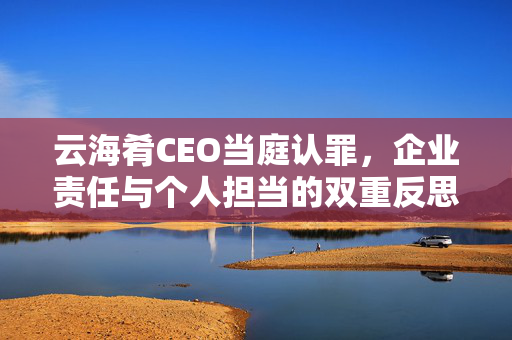 云海肴CEO当庭认罪，企业责任与个人担当的双重反思