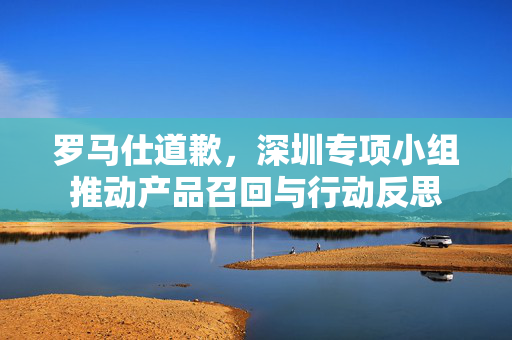 罗马仕道歉，深圳专项小组推动产品召回与行动反思