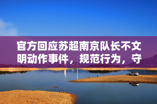 官方回应苏超南京队长不文明动作事件，规范行为，守护体育精神