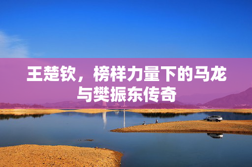 王楚钦，榜样力量下的马龙与樊振东传奇