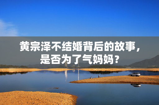 黄宗泽不结婚背后的故事，是否为了气妈妈？