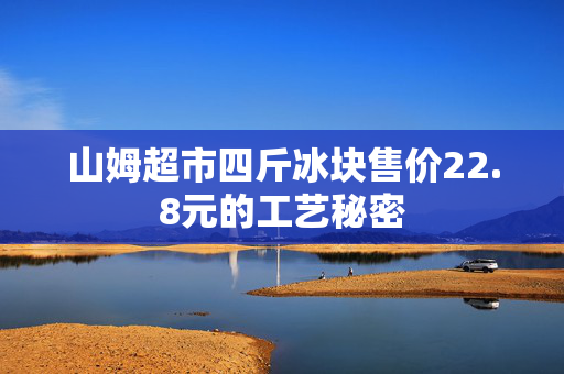 山姆超市四斤冰块售价22.8元的工艺秘密