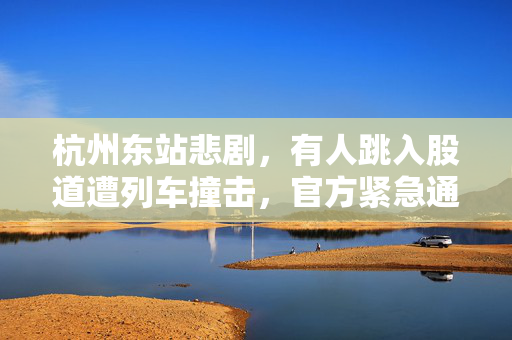 杭州东站悲剧，有人跳入股道遭列车撞击，官方紧急通报