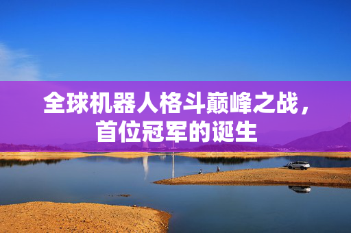 全球机器人格斗巅峰之战，首位冠军的诞生