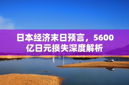 日本经济末日预言，5600亿日元损失深度解析