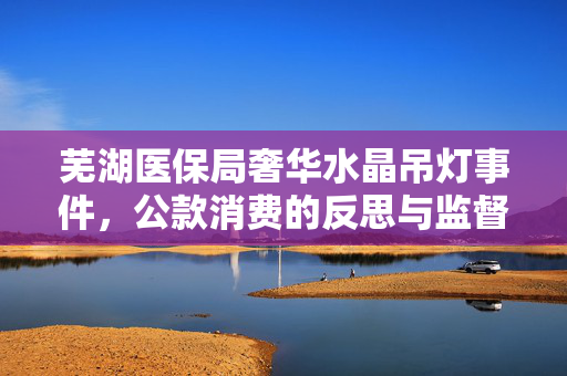 芜湖医保局奢华水晶吊灯事件，公款消费的反思与监督