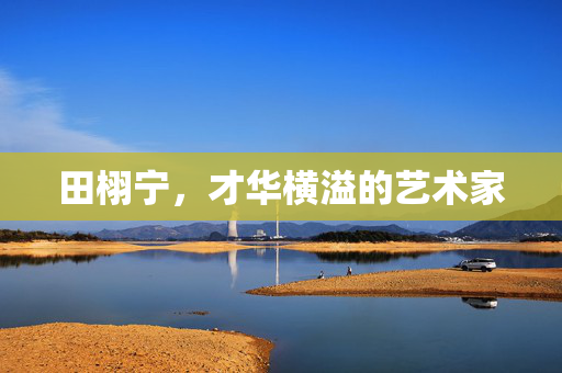 田栩宁，才华横溢的艺术家