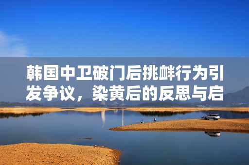 韩国中卫破门后挑衅行为引发争议，染黄后的反思与启示