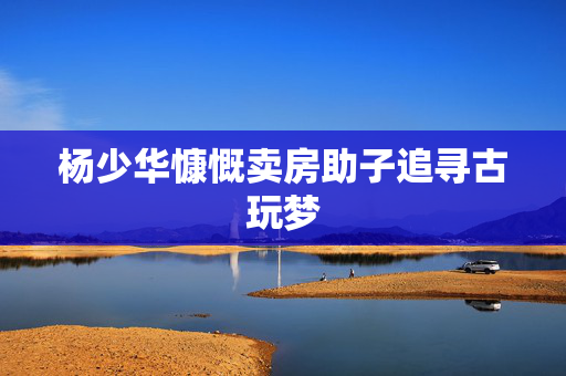 杨少华慷慨卖房助子追寻古玩梦