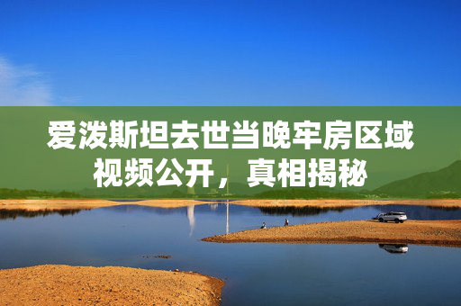 爱泼斯坦去世当晚牢房区域视频公开，真相揭秘