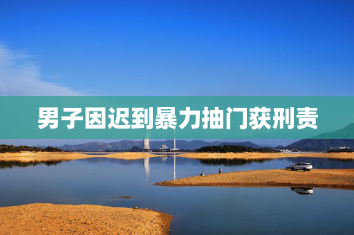 男子因迟到暴力抽门获刑责