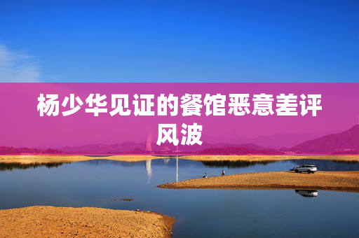 杨少华见证的餐馆恶意差评风波