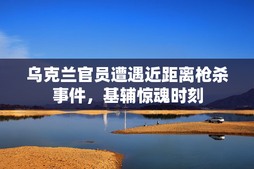 乌克兰官员遭遇近距离枪杀事件，基辅惊魂时刻