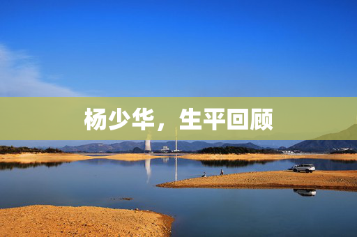 杨少华，生平回顾