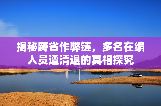 揭秘跨省作弊链，多名在编人员遭清退的真相探究
