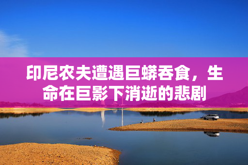 印尼农夫遭遇巨蟒吞食，生命在巨影下消逝的悲剧