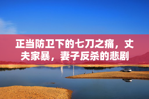 正当防卫下的七刀之痛，丈夫家暴，妻子反杀的悲剧