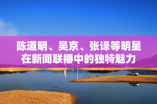陈道明、吴京、张译等明星在新闻联播中的独特魅力