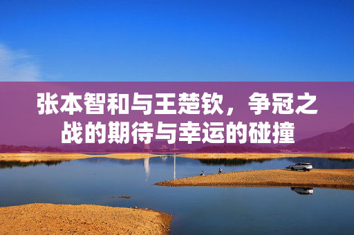 张本智和与王楚钦，争冠之战的期待与幸运的碰撞