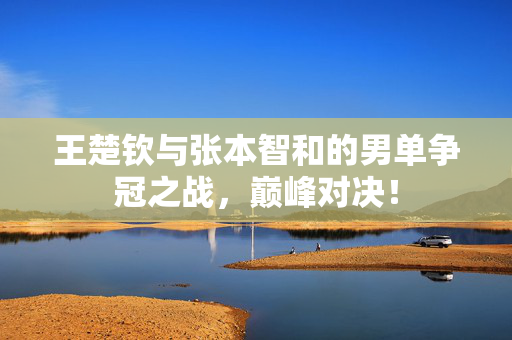 王楚钦与张本智和的男单争冠之战，巅峰对决！