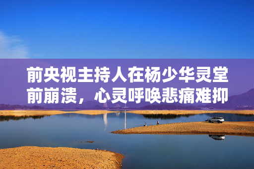 前央视主持人在杨少华灵堂前崩溃，心灵呼唤悲痛难抑