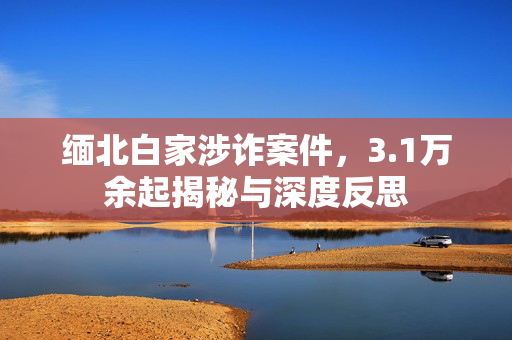 缅北白家涉诈案件，3.1万余起揭秘与深度反思