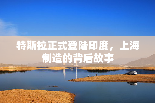 特斯拉正式登陆印度，上海制造的背后故事